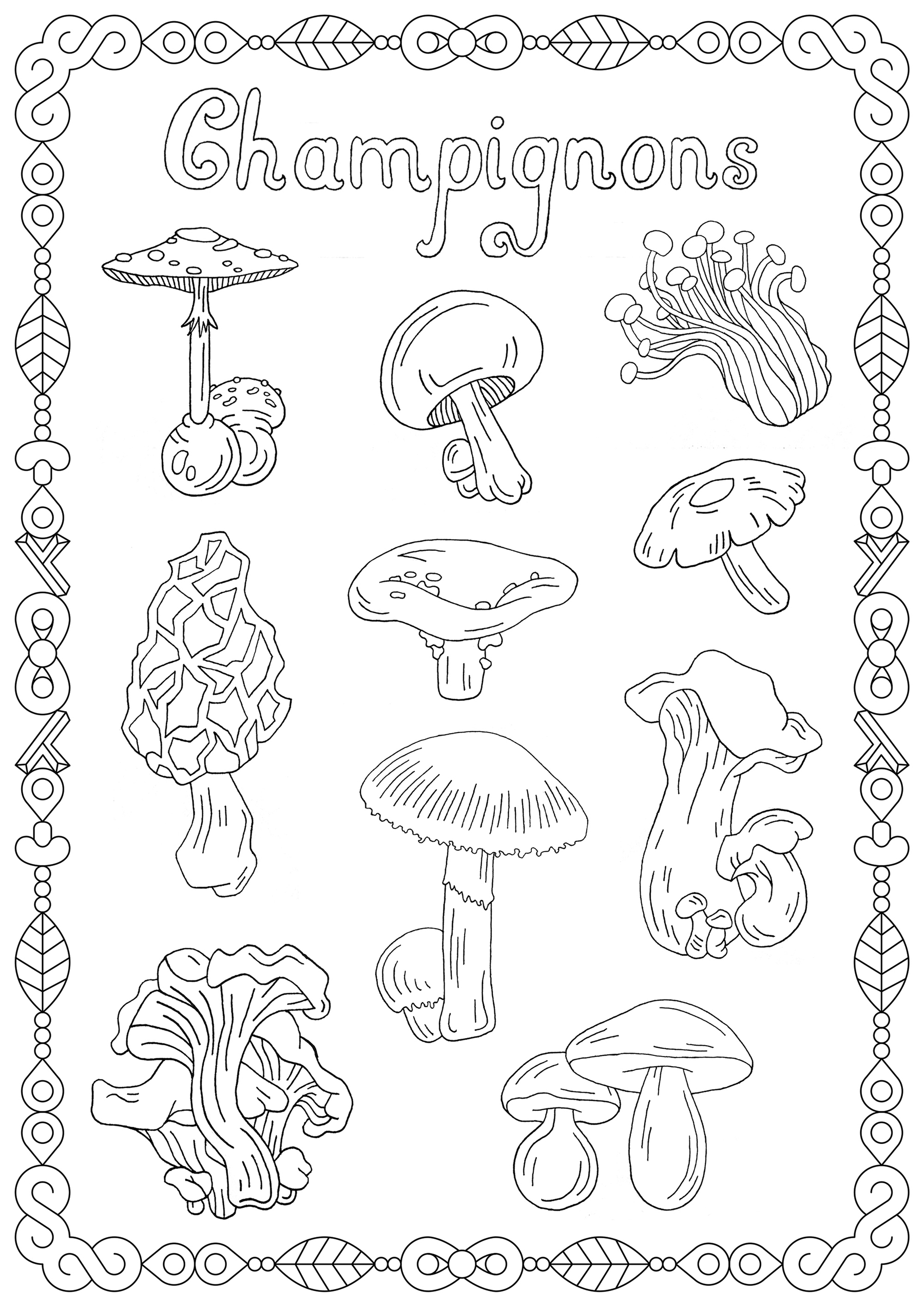 Coloriez ces variétés espèces de champignons, et le mot 'champignon'