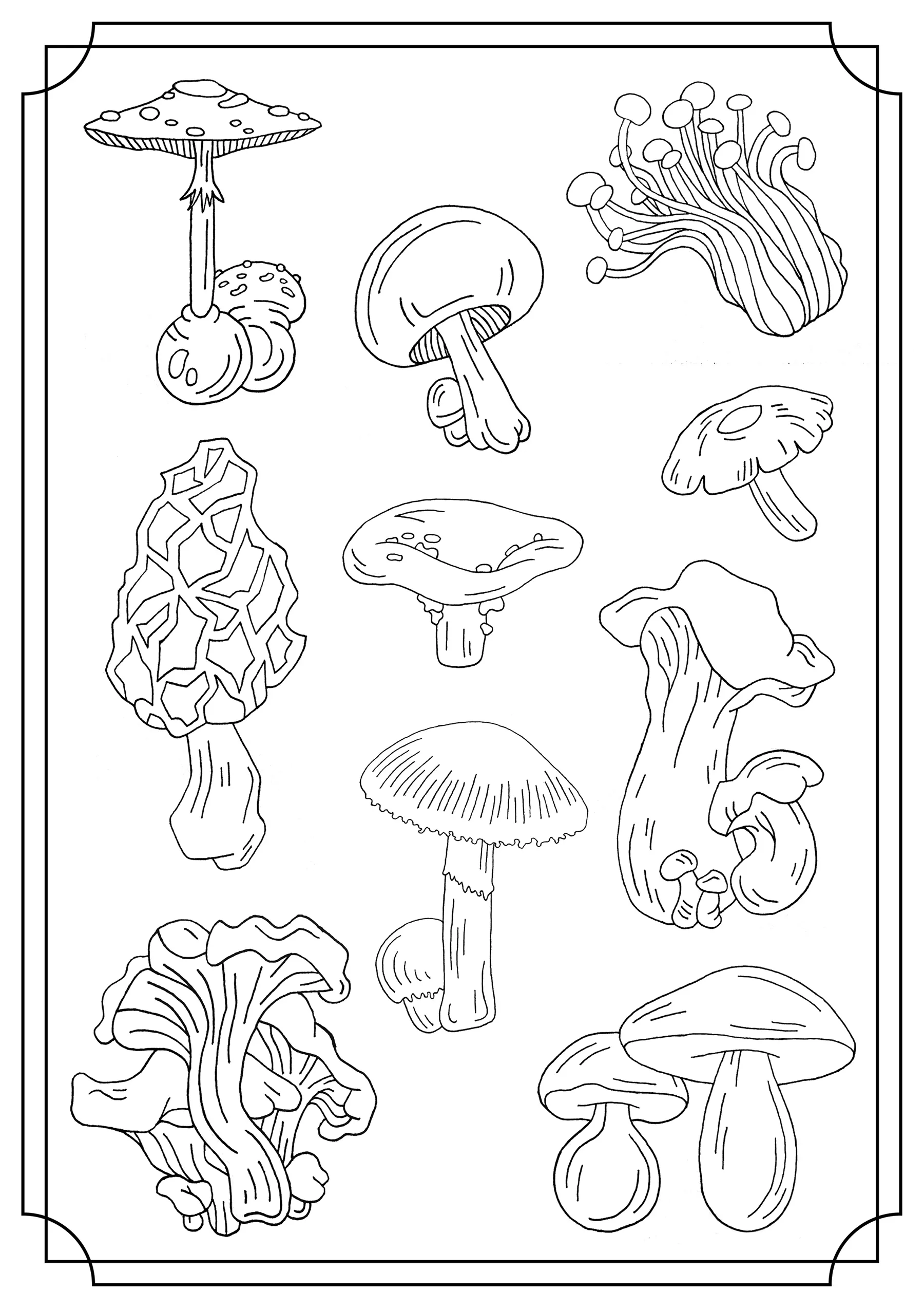 Champignons (simple) (Coloriage à imprimer pour enfants)