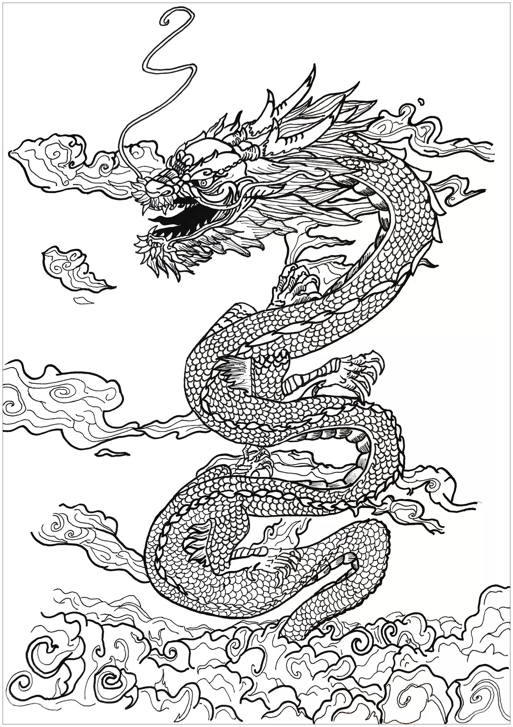 Coloriage de chevaliers et dragons pour enfants (Chateaux, Chevaliers et Dragons)
