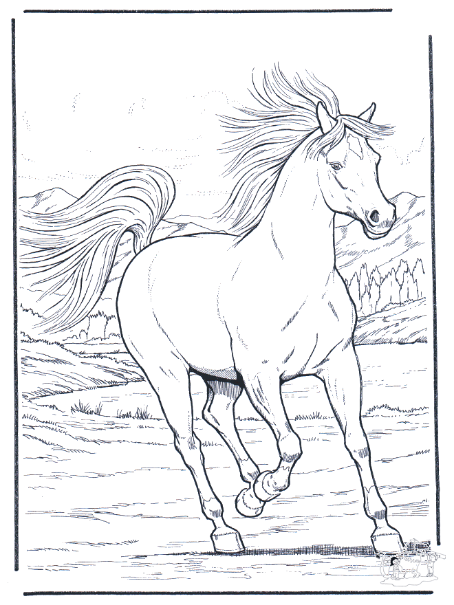 Un autre cheval majestueux à colorier
