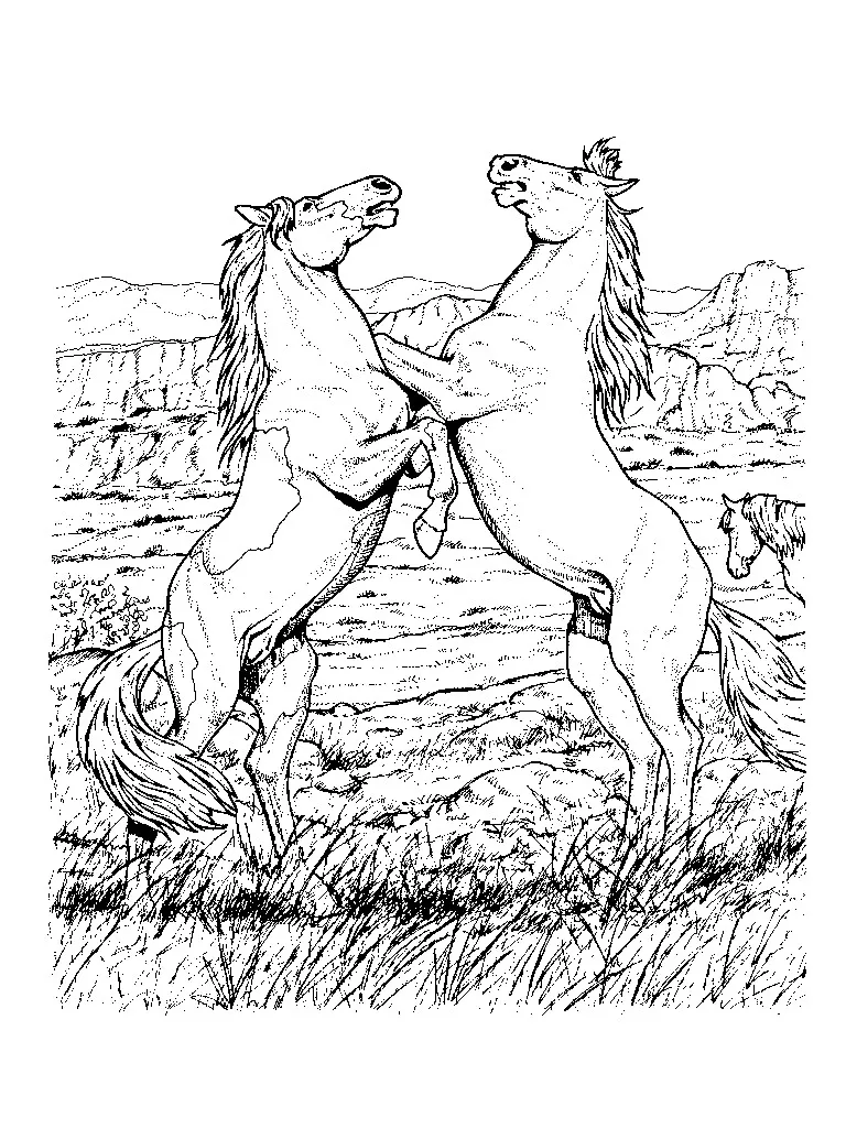 2 chevaux (Coloriage à imprimer pour enfants)