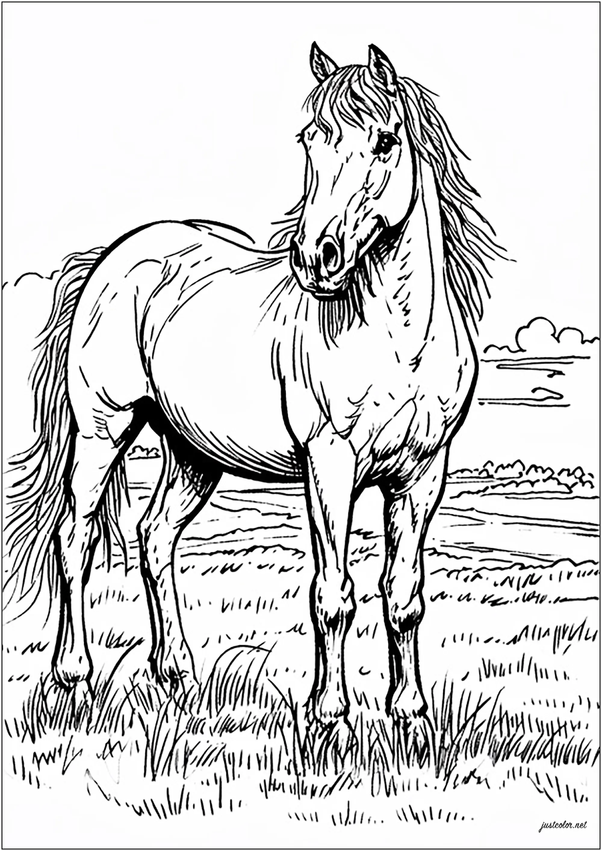 Cheval simple et magnifique (Coloriage de Chevaux à imprimer pour enfants)