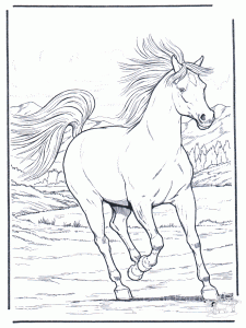 Cheval au galop (Coloriage de Chevaux)