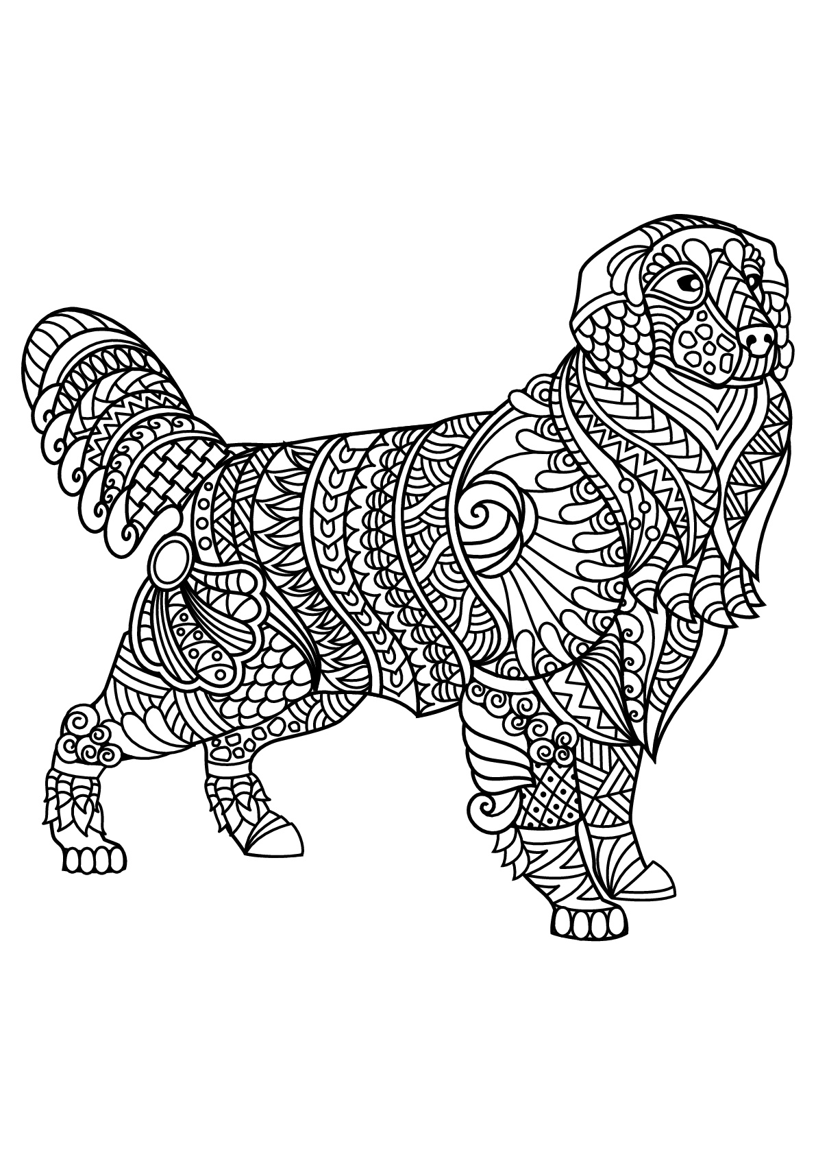 Labrador, avec motifs harmonieux et complexes