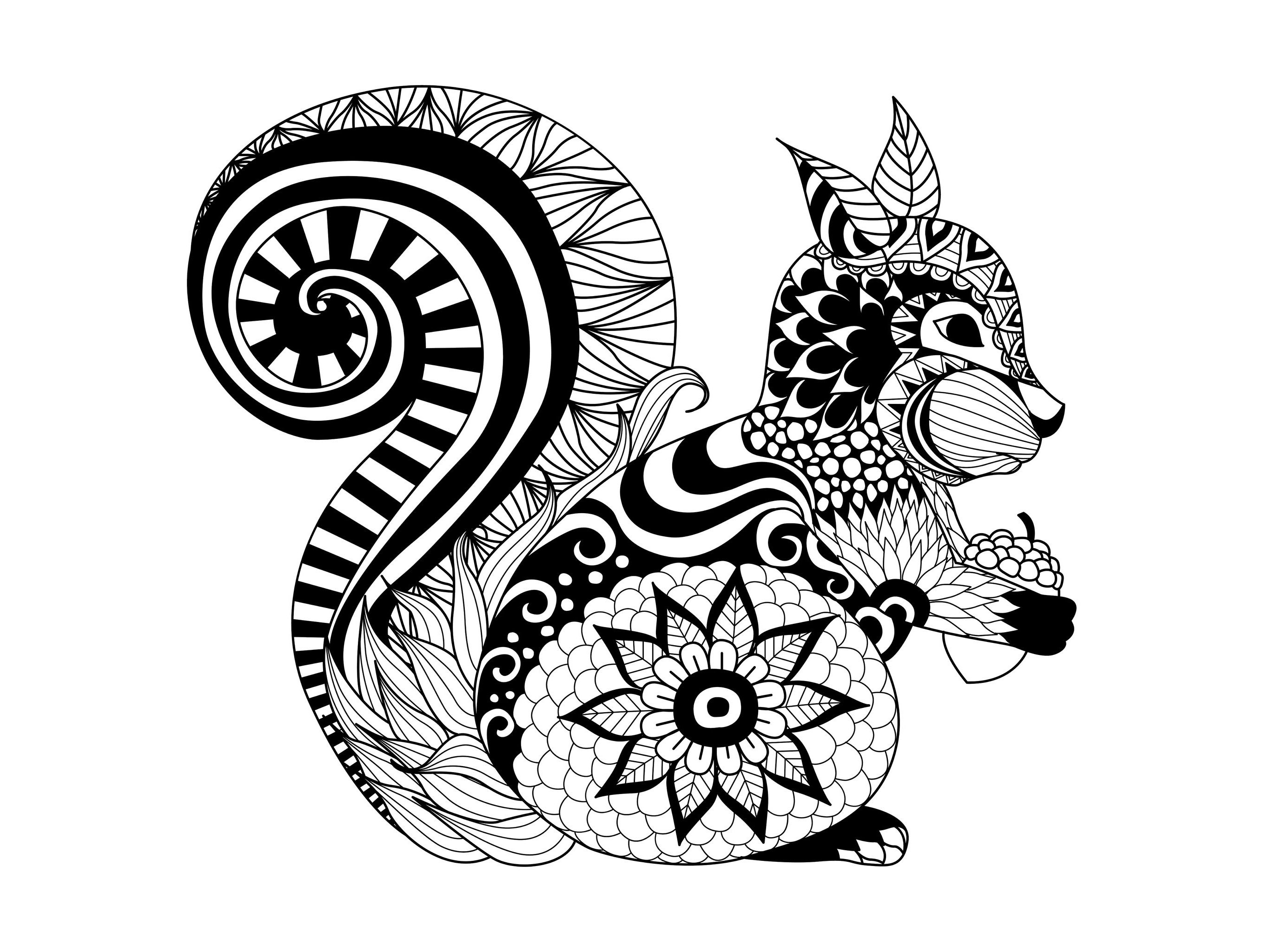 Joli écureuil à imprimer et colorier, style Zentangle, par Bimdeedee