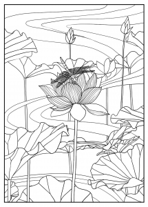 Coloriage pour adulte difficile lotus par mizu gratuit a imprimer