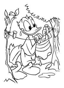 Coloriage donald camping