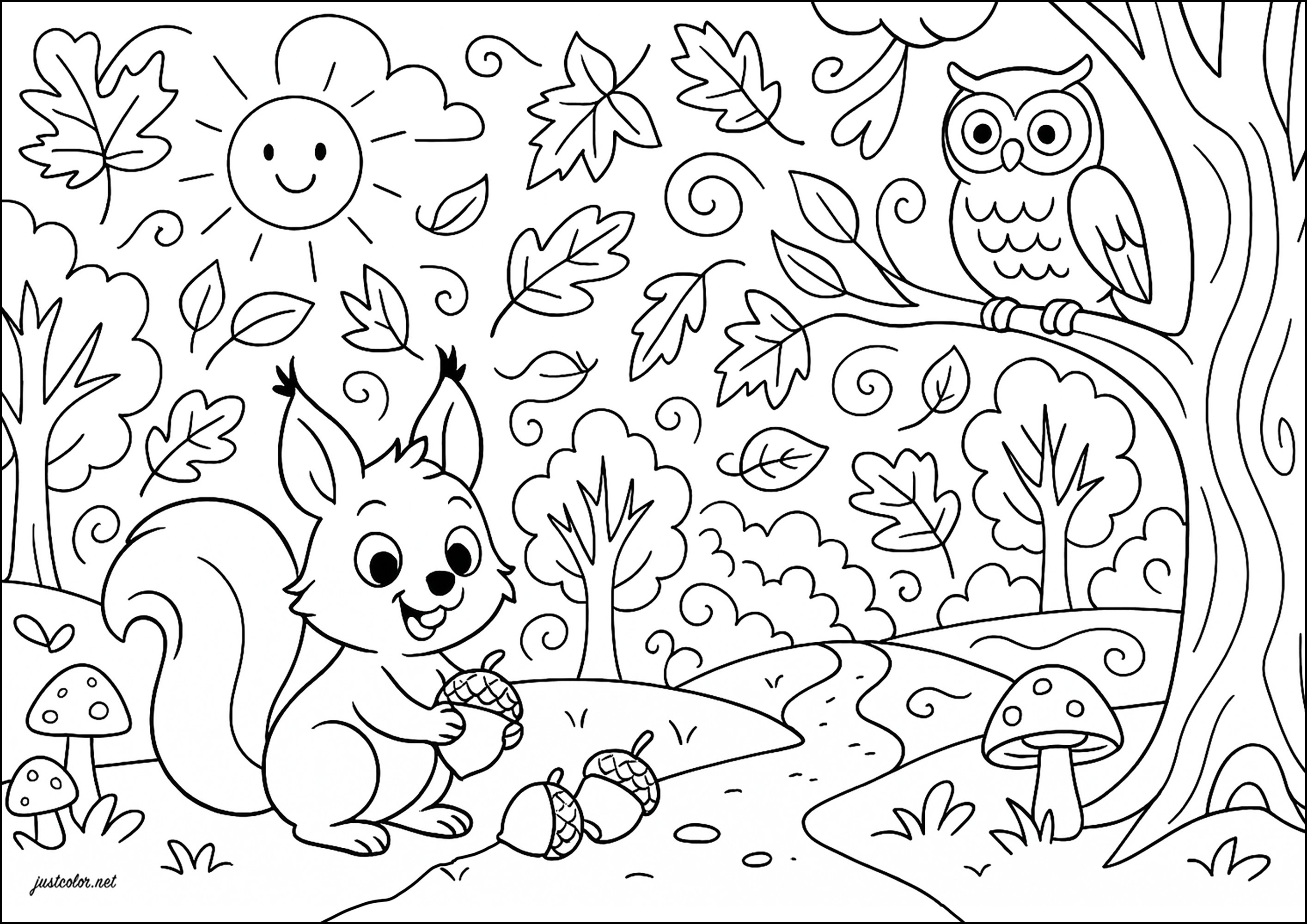 Petit cureuil Et Son Ami Le Hibou Coloriages De cureuils Imprimer