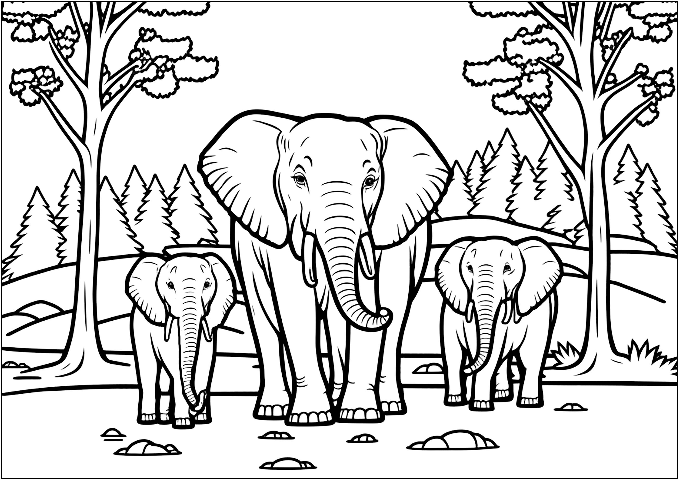 Trois éléphants dans la forêt