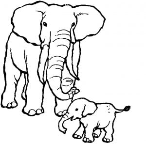 Coloriage d'éléphant à télécharger