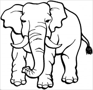 Coloriage d'éléphant à imprimer et colorier