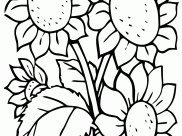 Coloriages Fleurs faciles pour enfants