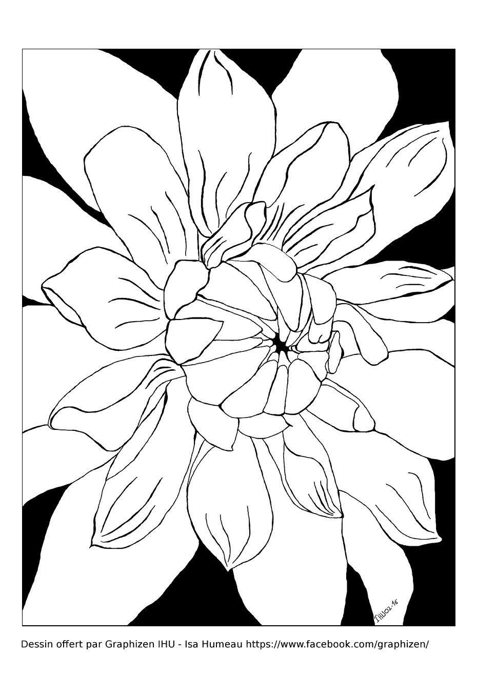 Fleur magnifique vue de près - Coloriages de Fleurs à imprimer pour enfants
