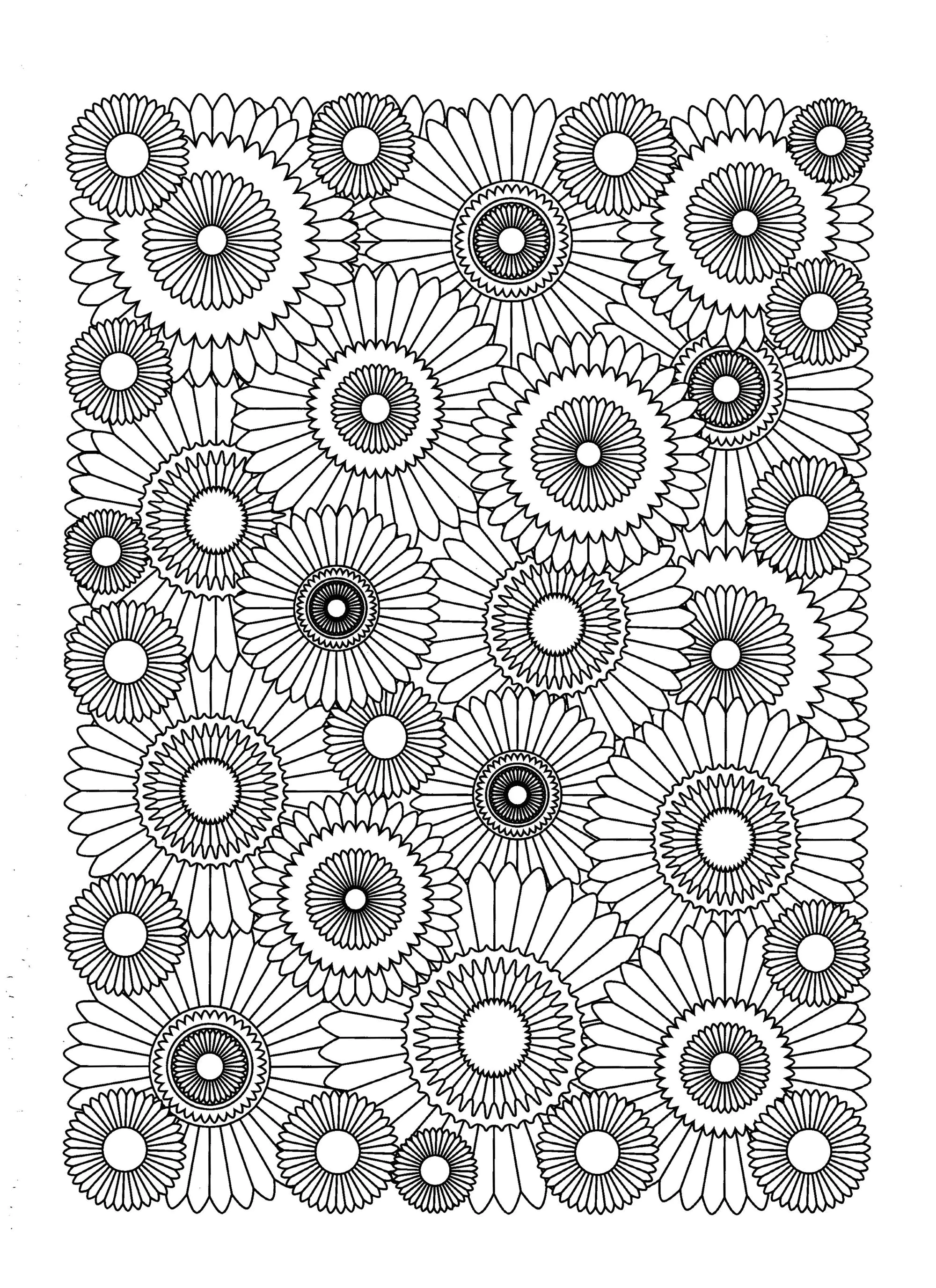 Tournesols (Coloriage de Fleurs à imprimer pour enfants)
