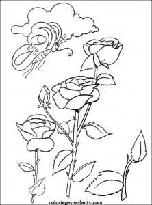 Coloriage de Fleurs à imprimer gratuitement