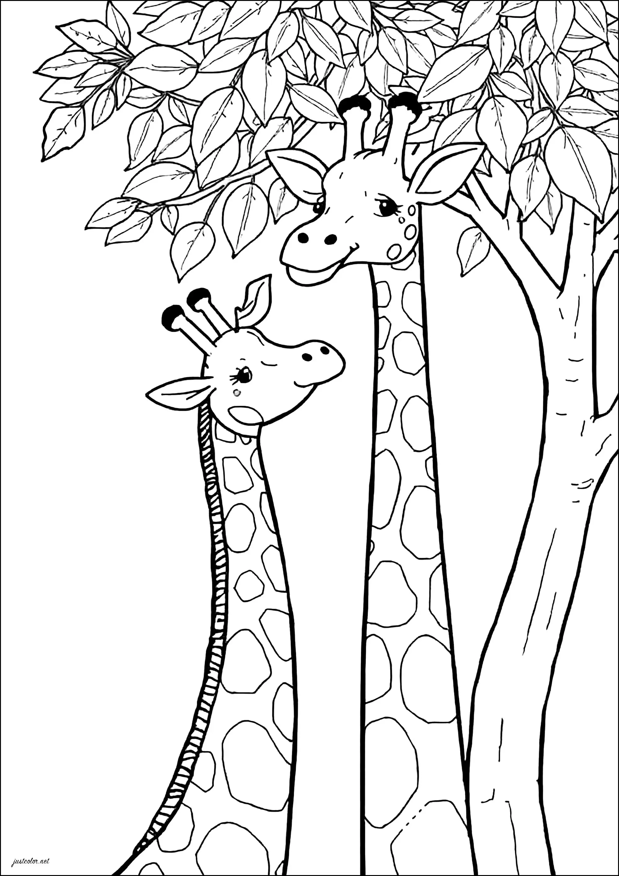 Deux girafes aux très longs cous (Coloriage à imprimer pour enfants)