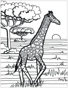 Girafe qui court