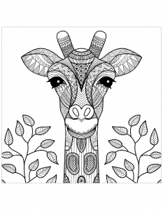 Coloriage gratuit tete de girafe et feuilles