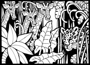 Trois girafes observées par un léopard (Coloriage)