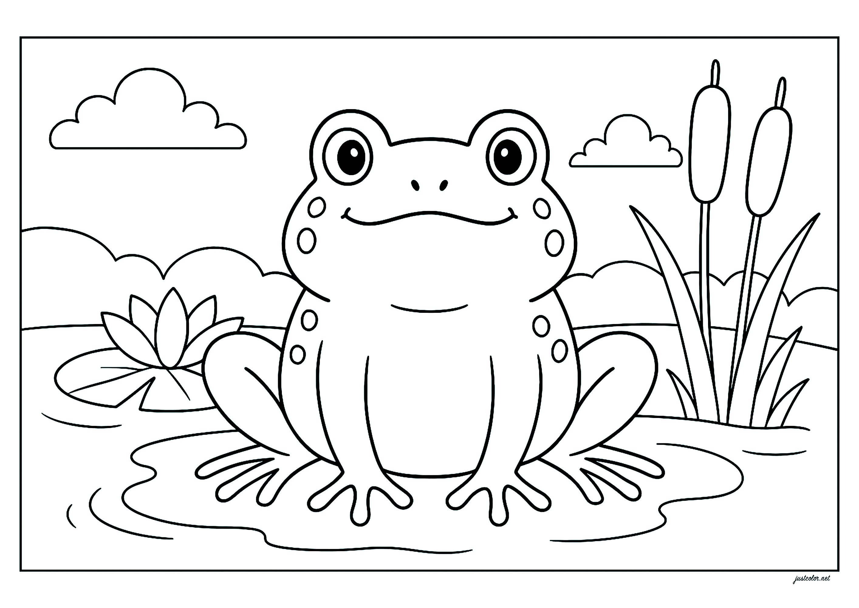 Grosse grenouille rigolote à colorier - Coloriages de Grenouilles à