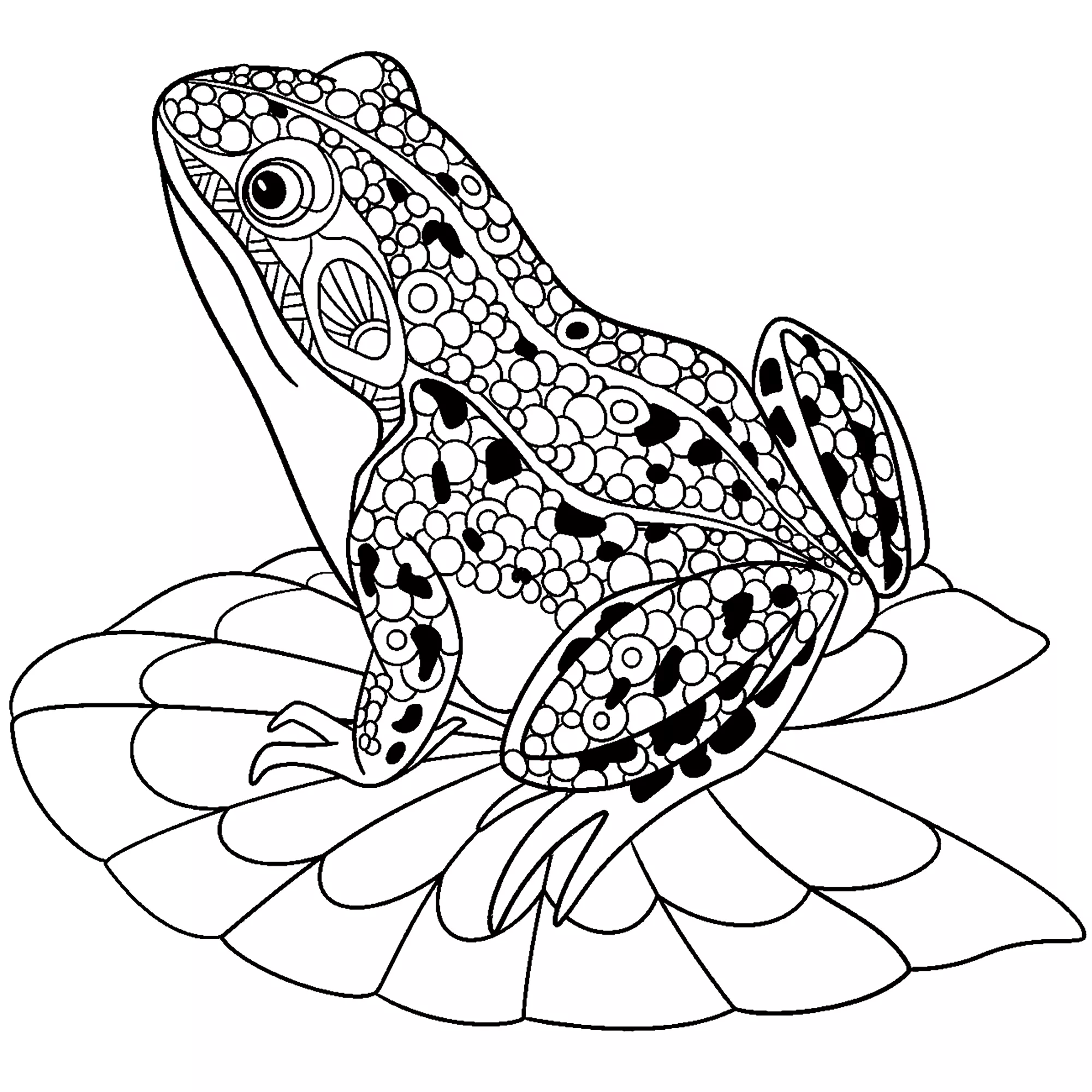 Grenouille Zentangle (Coloriage à imprimer pour enfants)