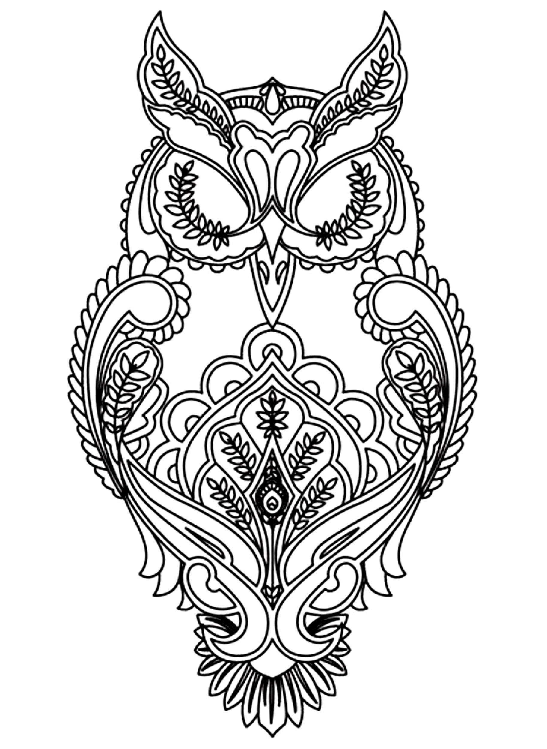 Coloriage de hiboux à imprimer