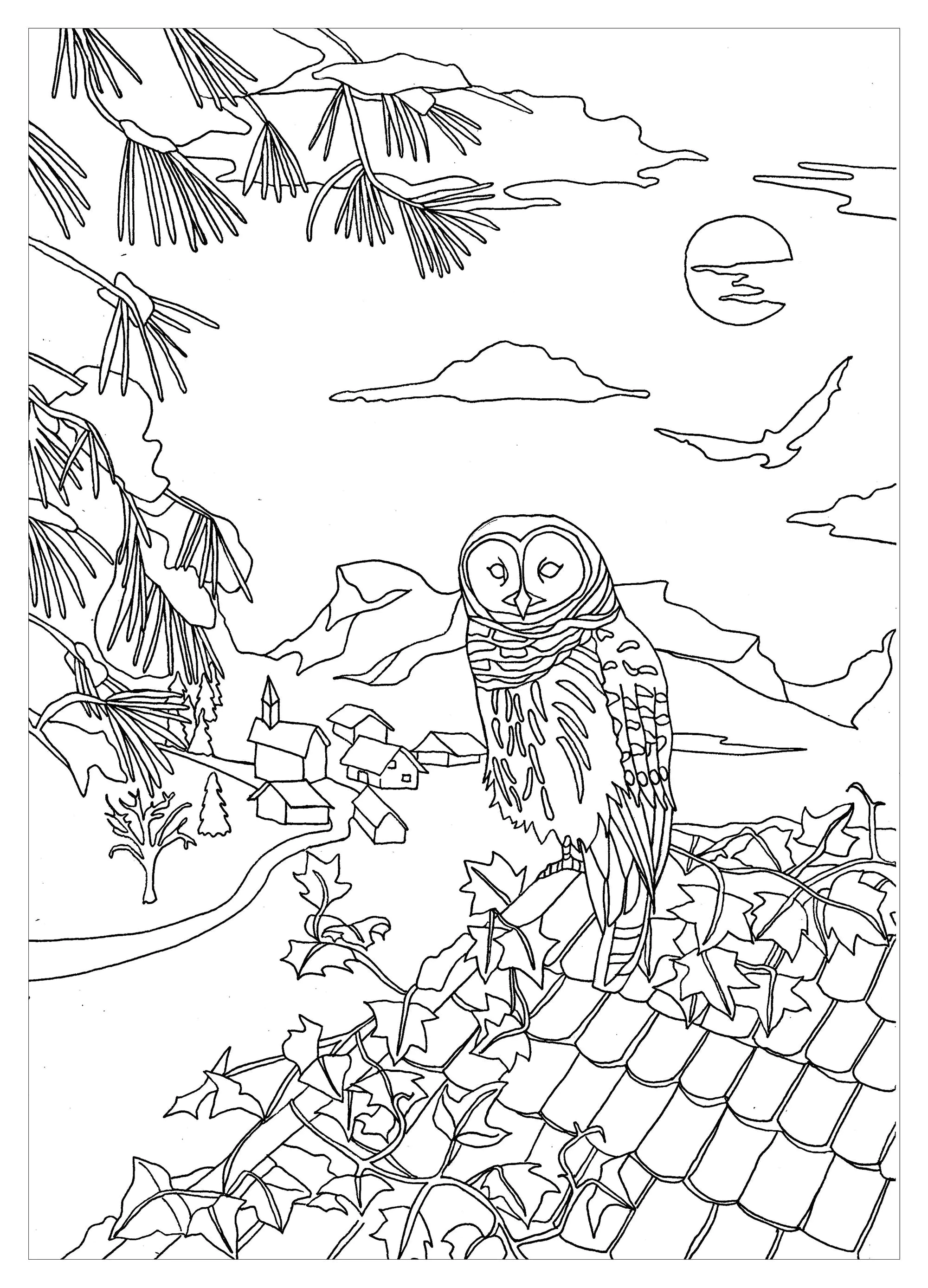 Un Hibou sur un toit (Coloriage d'Hiboux à imprimer pour enfants)