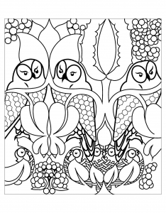 Coloriage pour enfants d'hiboux