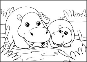 Maman et bébé Hippopotame