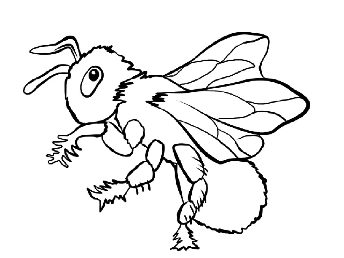 Abeille (Coloriage d'Insectes (Fourmis, Araignées, Abeilles …) à imprimer pour enfants)