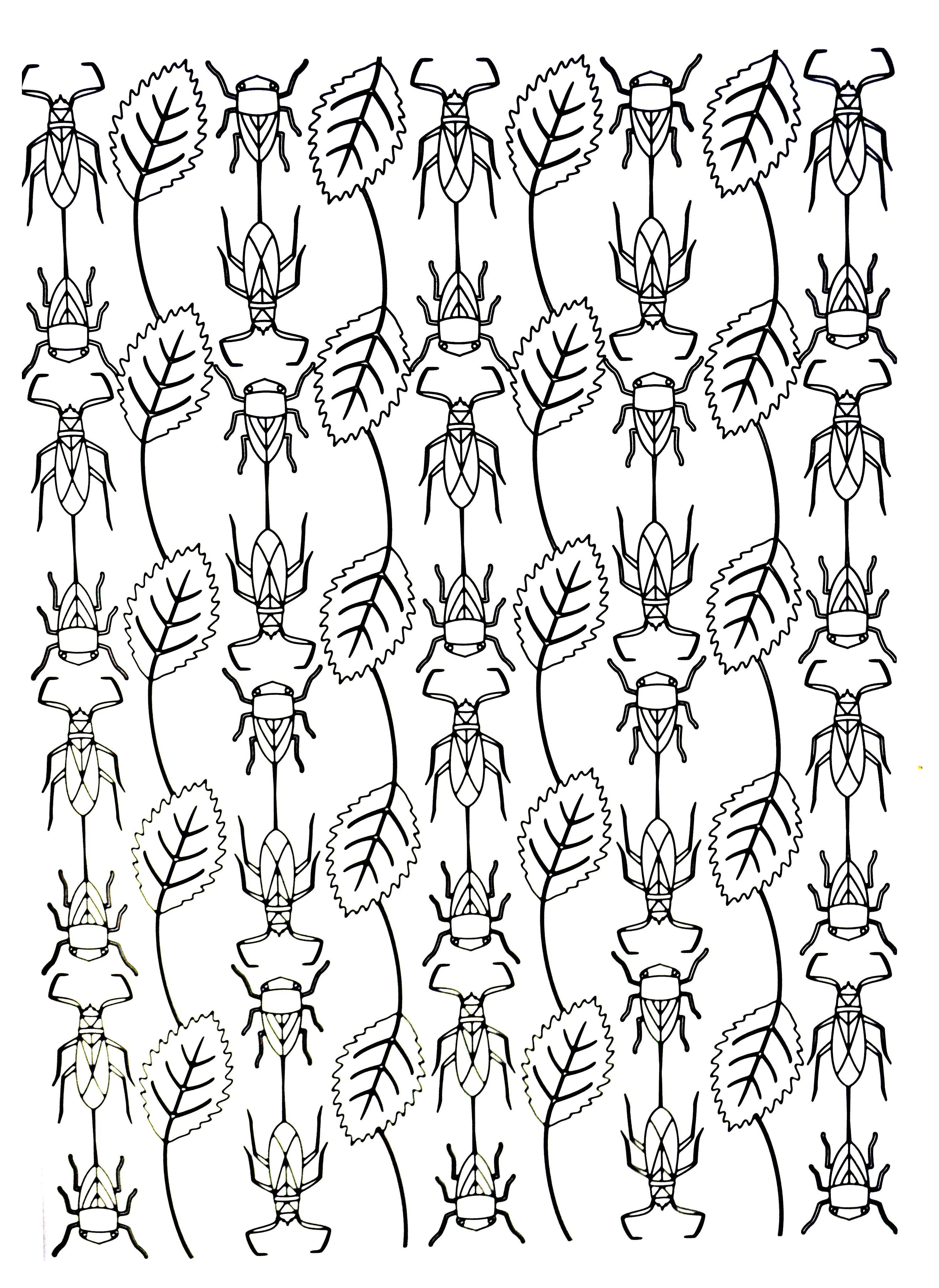 Scarabées (Coloriage d'Insectes (Fourmis, Araignées, Abeilles …) à imprimer pour enfants)