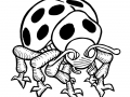 Coloriage insectes 4