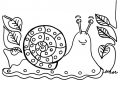 Coloriage insectes escargot 1