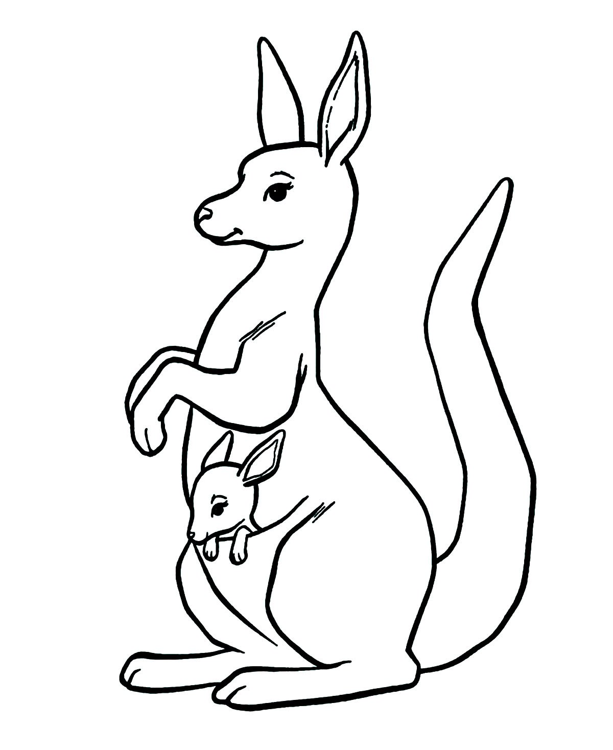 Coloriage d'un kangourou en promenade avec son petit !