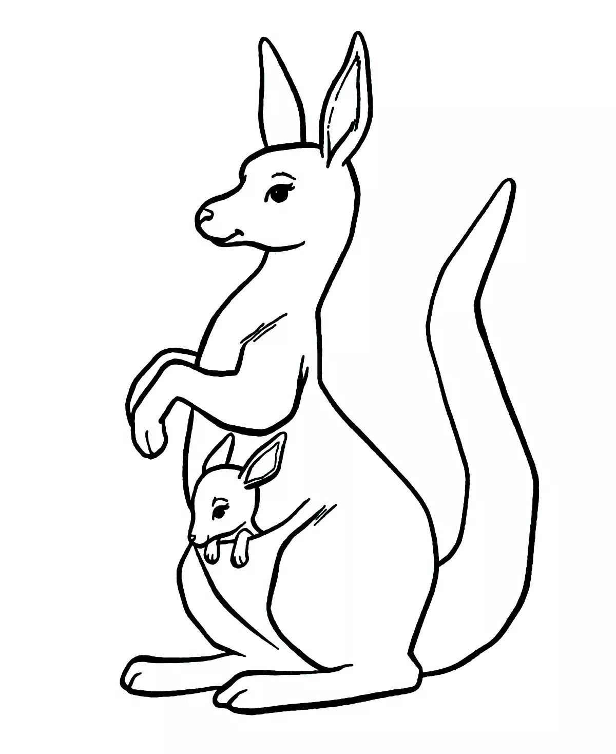 Kangourou dans la poche (Coloriage à imprimer pour enfants)