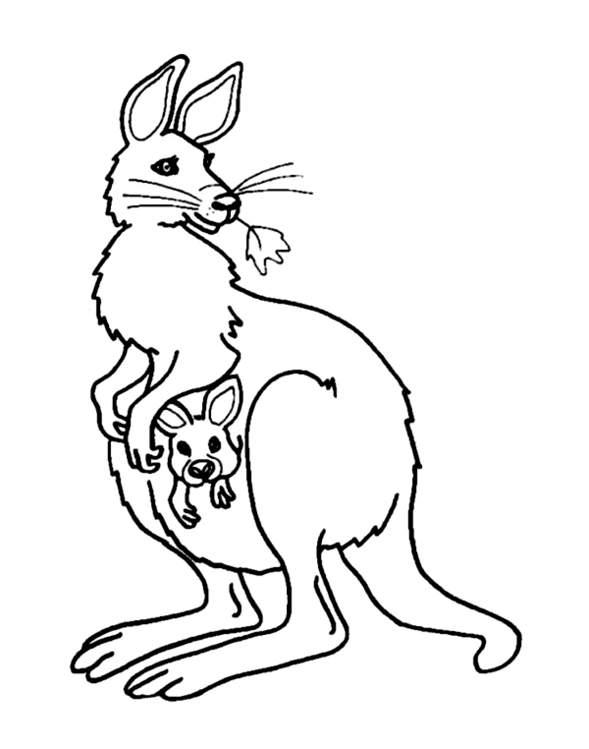 Kangourou et son bébé (Coloriage à imprimer pour enfants)