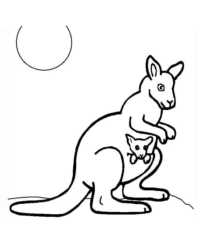 Magnifique Coloriage de kangourou, simple, pour enfants