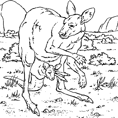 Coloriage de kangourou à imprimer