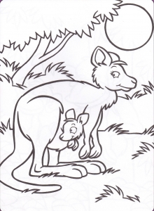 Coloriage de kangourou à imprimer pour enfants