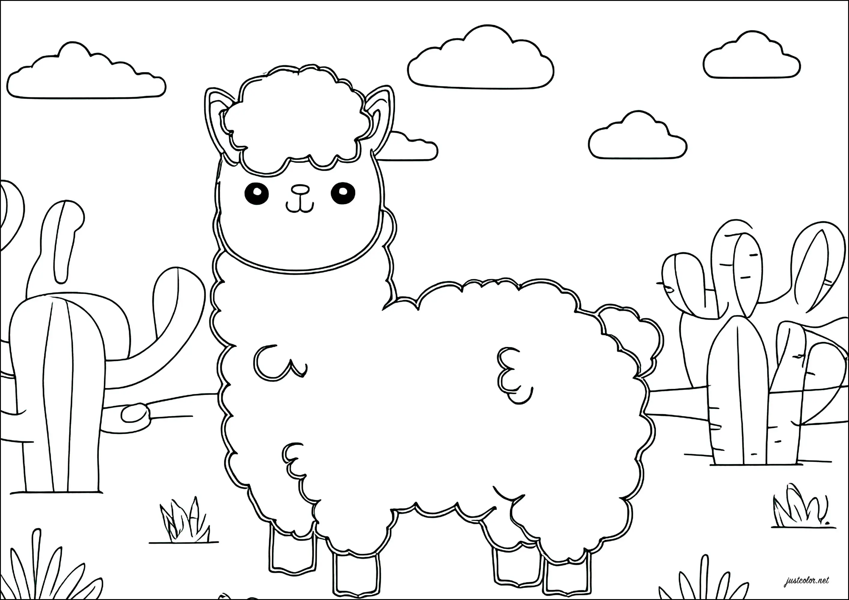 Lama à colorier
