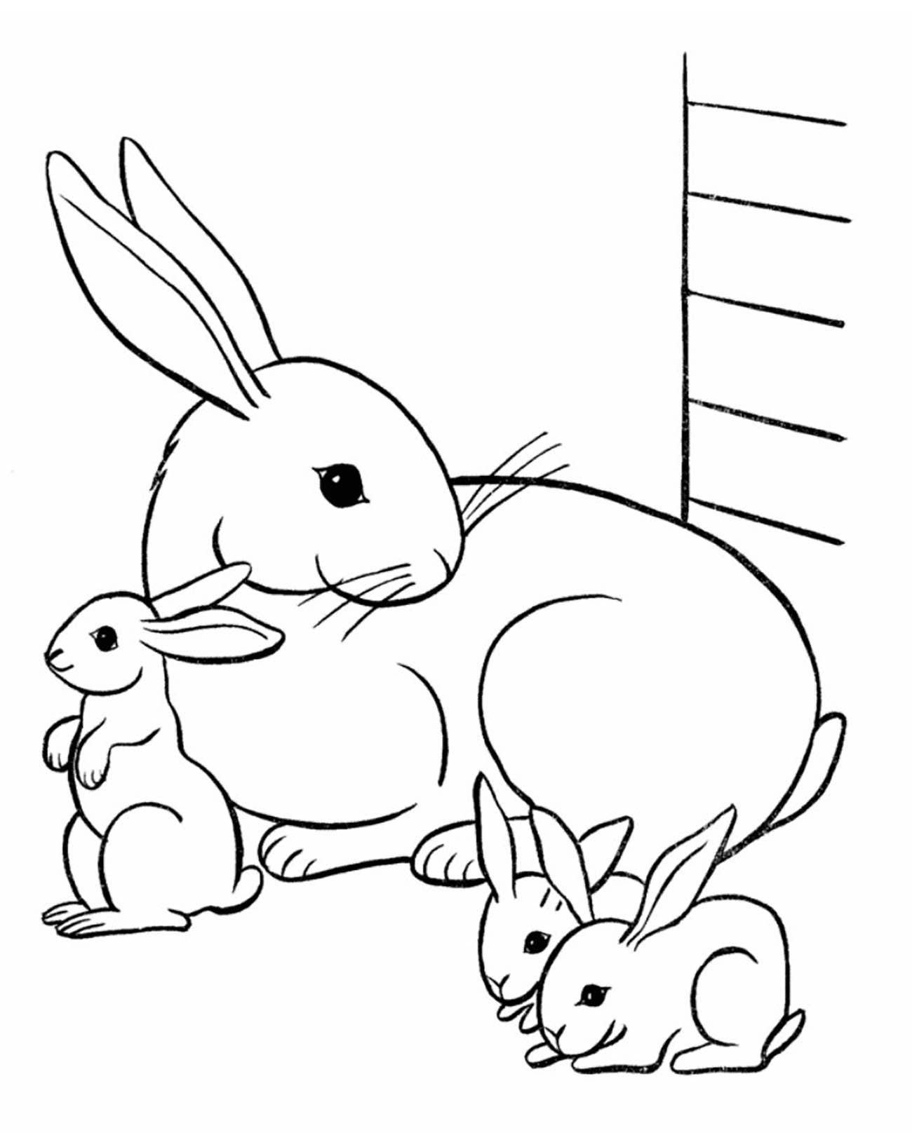 Une adorable famille de lapin dans leur clapet.