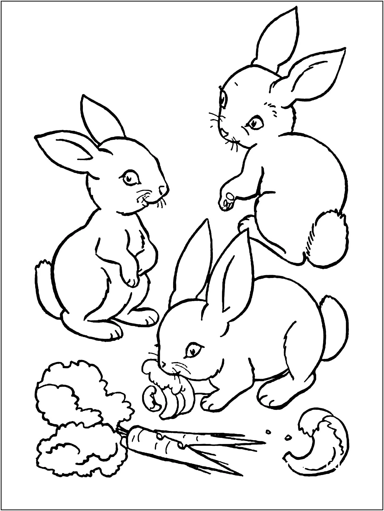 Promenade (Coloriage de Lapins à imprimer pour enfants)