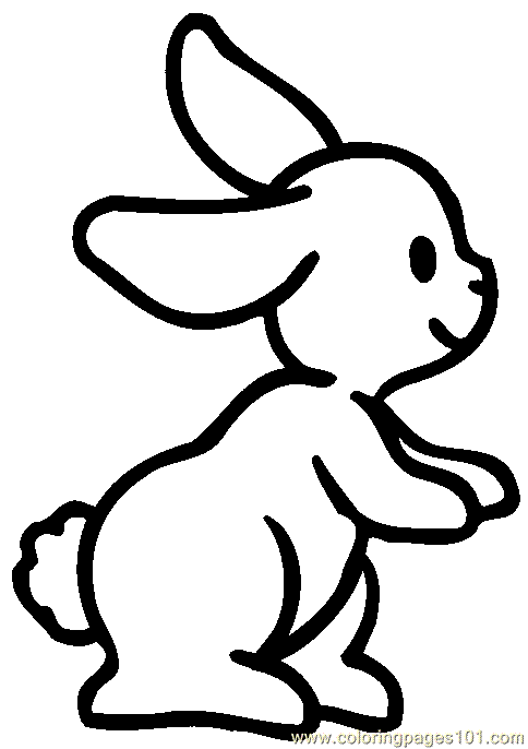 Coloriez ce beau coloriage de lapin avec vos couleurs préférées