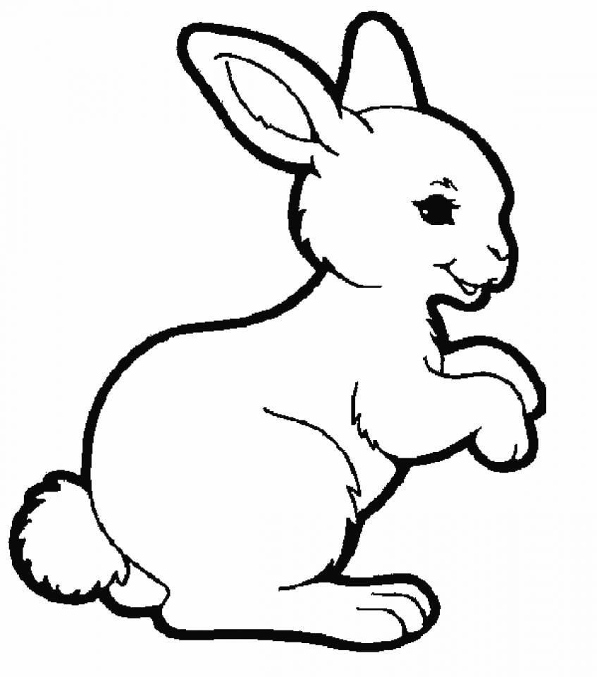 Coloriage de lapin de profil.