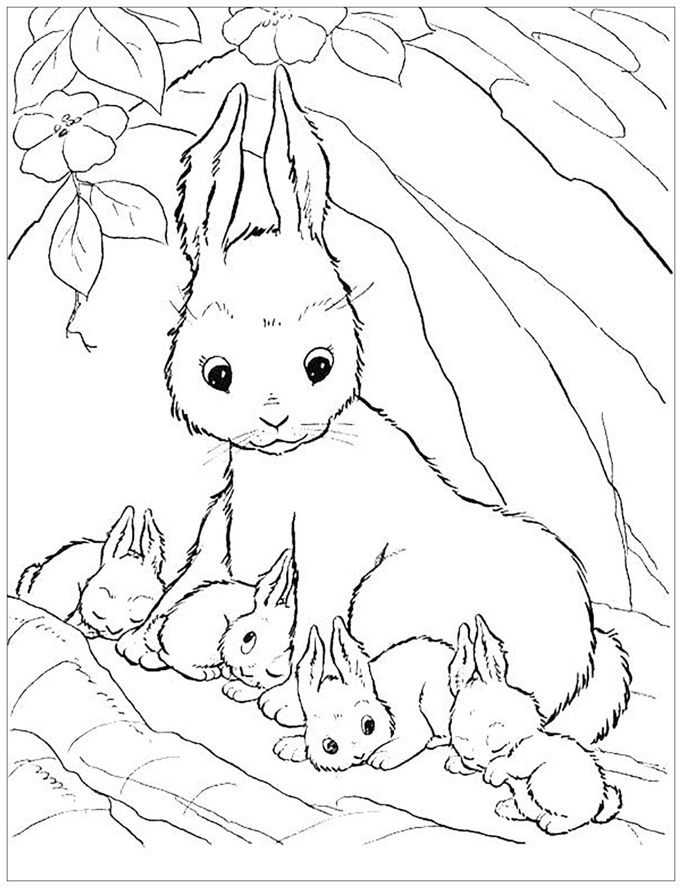Dessin de lapin à colorier, facile pour enfants