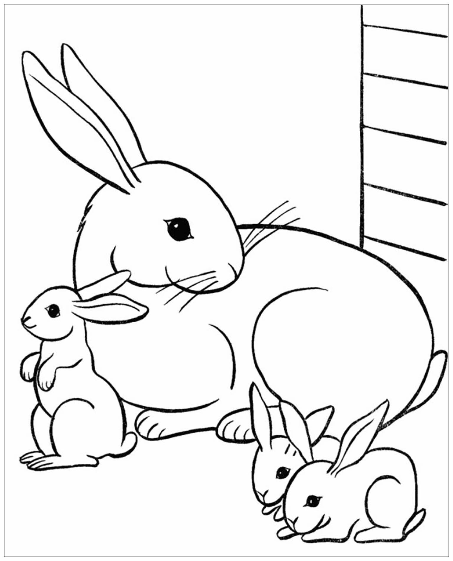 Préparez vos crayons et feutres pour colorier ce coloriage de lapin