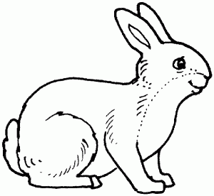 Coloriage de lapin à imprimer gratuitement