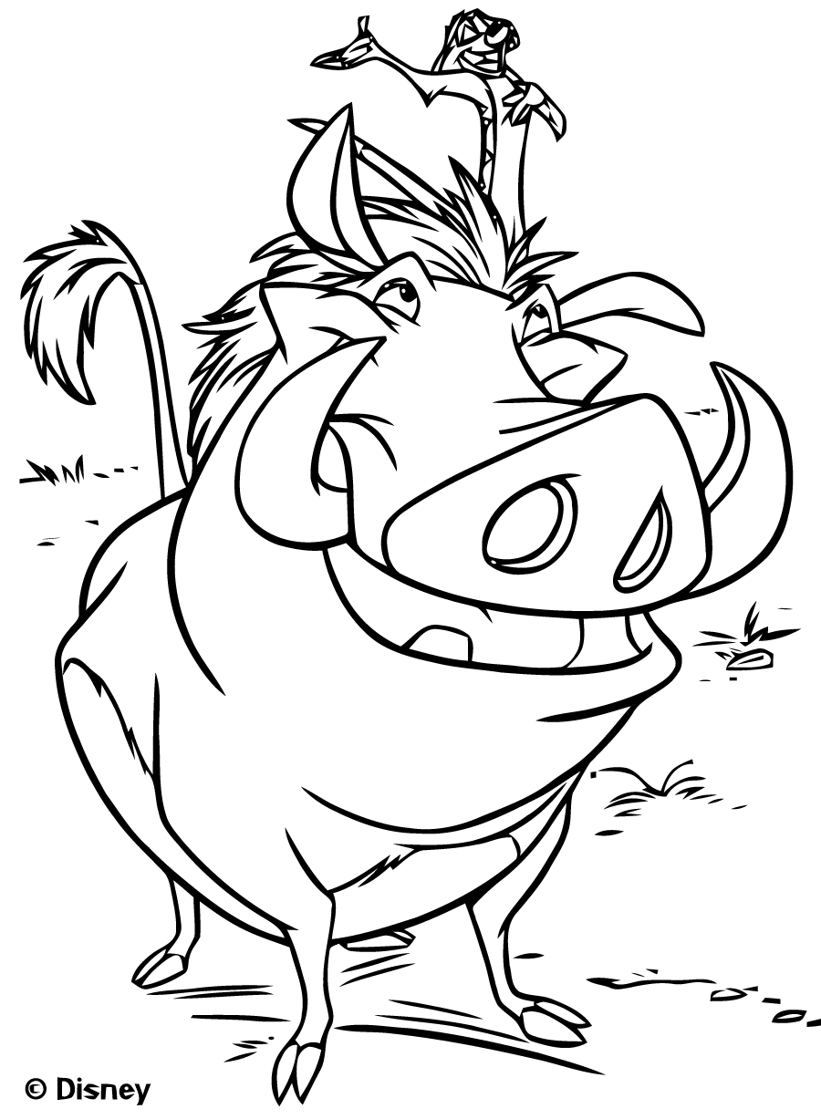 Pumbaa et Timon : Coloriage simple du Roi Lion