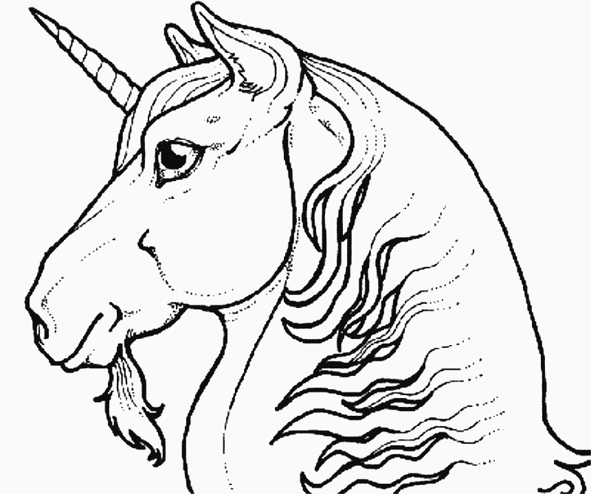 Licorne vue de profil à imprimer et colorier