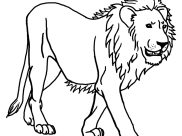 Coloriages Lion faciles pour enfants